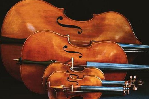 Cathédrale Saint-Sauveur, Aix-en-Provence (FR)